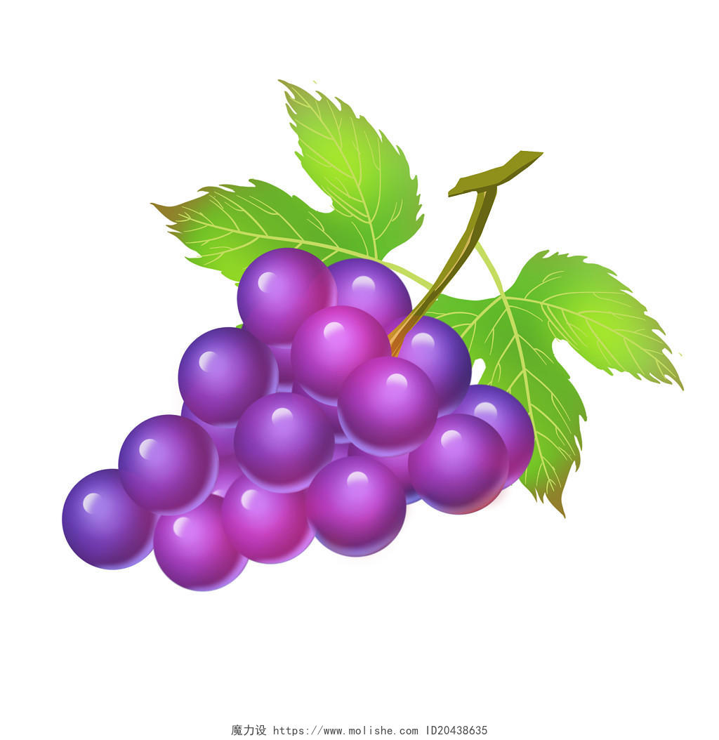 手绘写实水果葡萄原创素材水果水彩